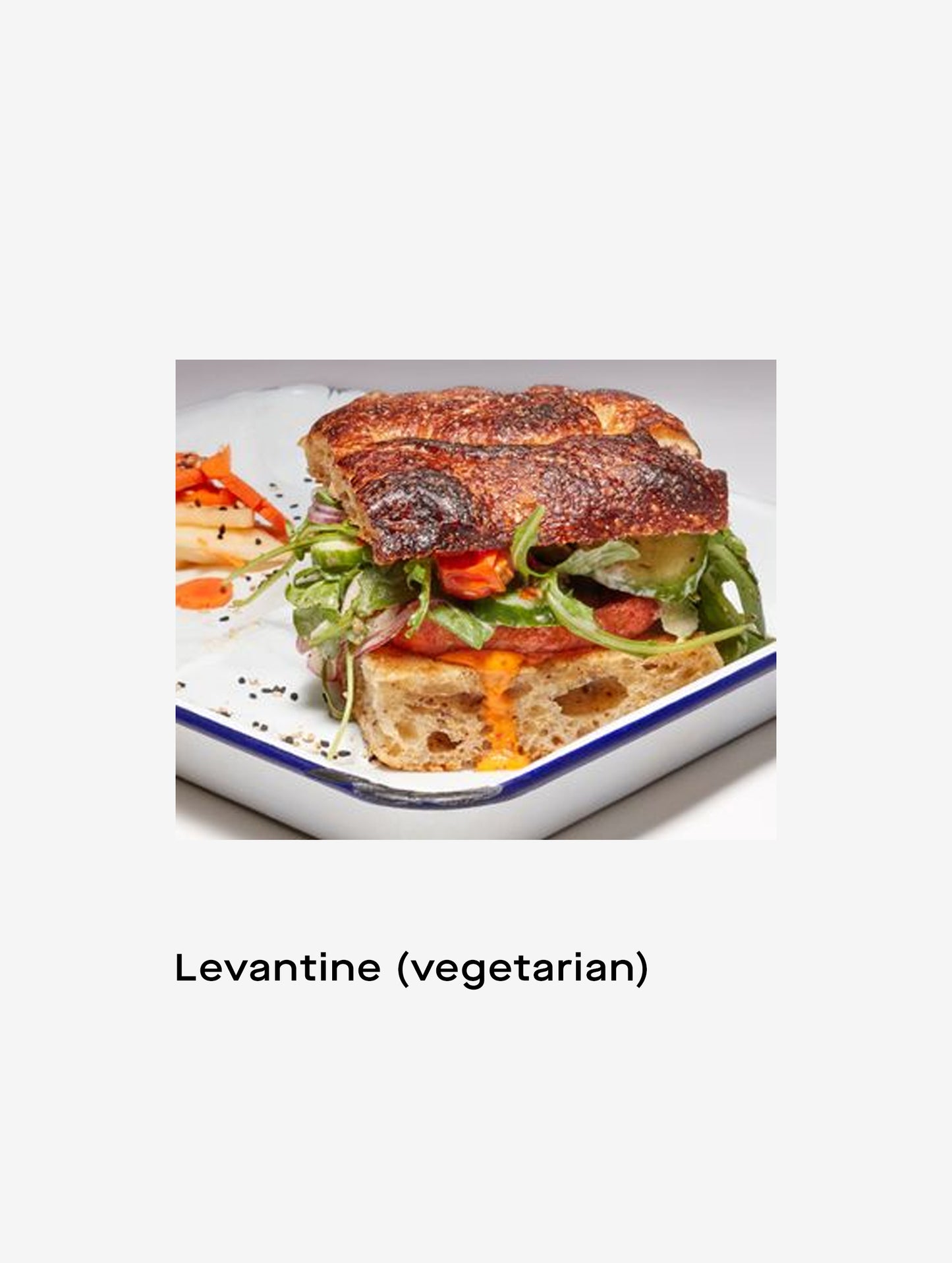 Closeup image of Levantine vegetarian sandwich on a plate.