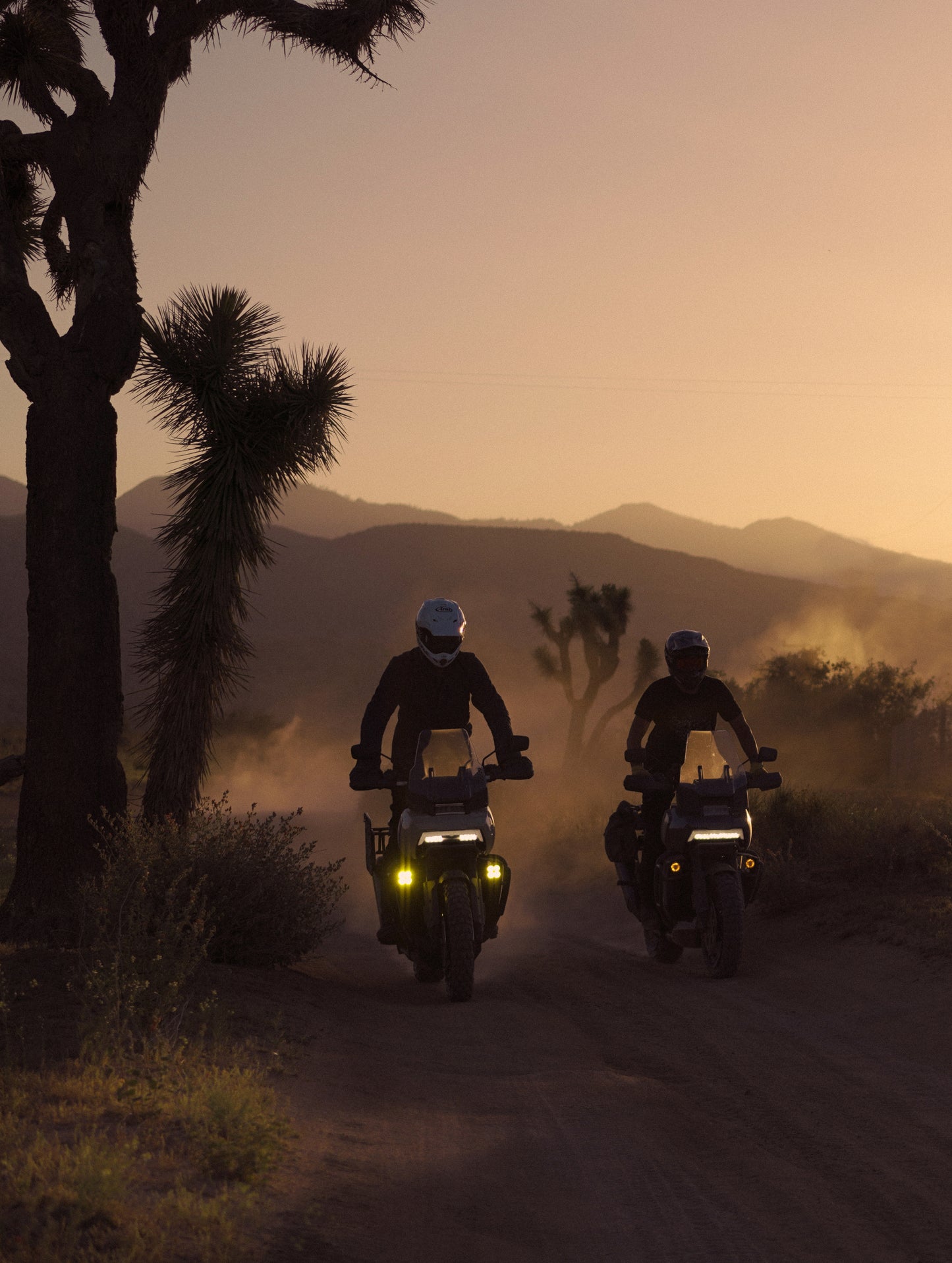 Image of adventure motorcycles riding on a trail through the desert, kicking up dust at the AETHER Pioneertown Rally.