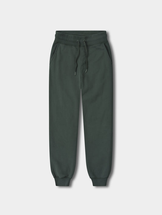 Flat lay view of the Rylan Cuffed Sweatpant in Saville Green  from AETHER Apparel.