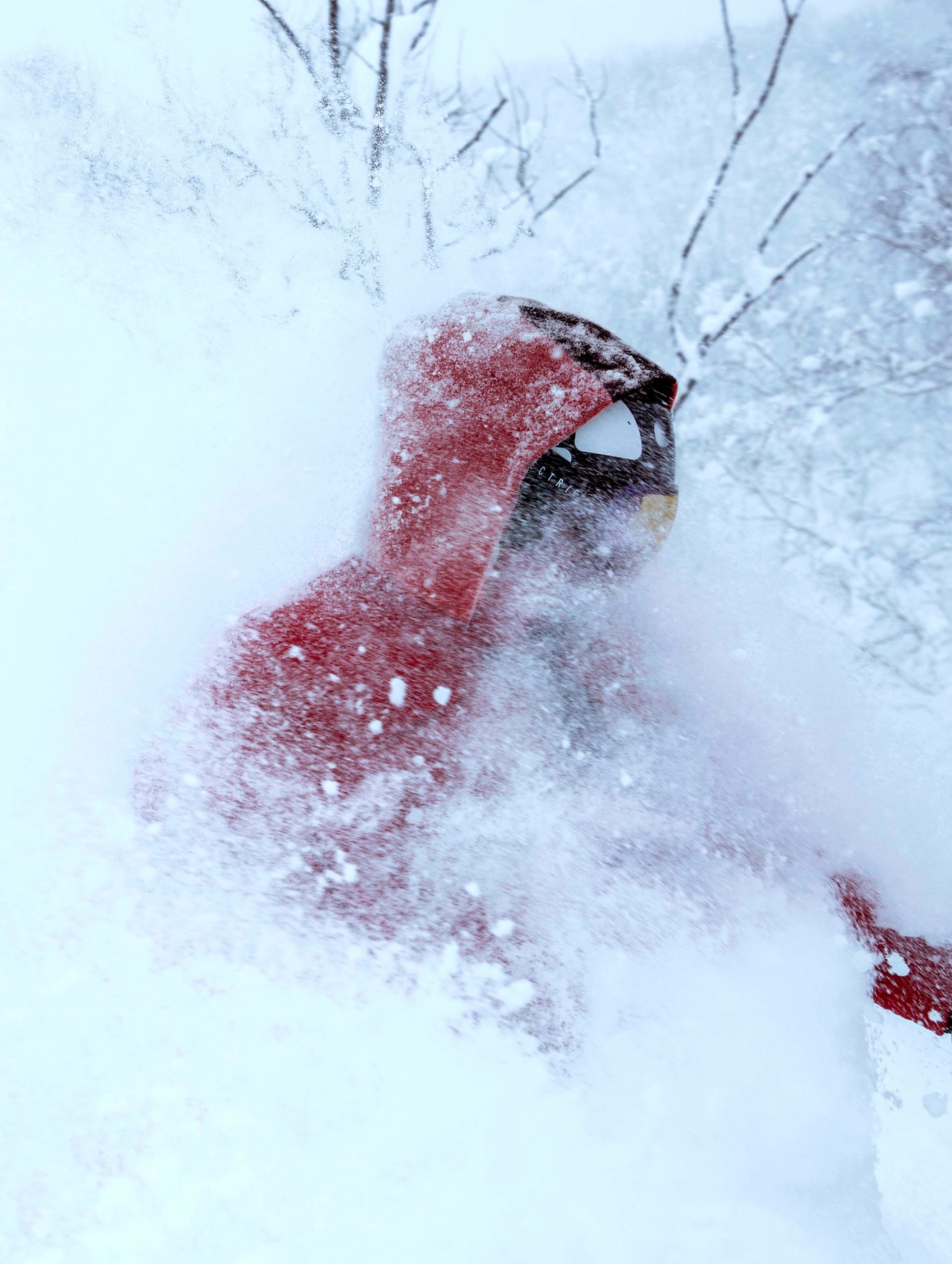 man wearing red ski jacket in snow